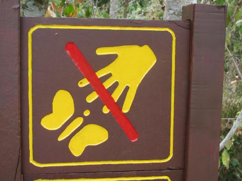 Please do not feed Twizzlers to the butterflies!